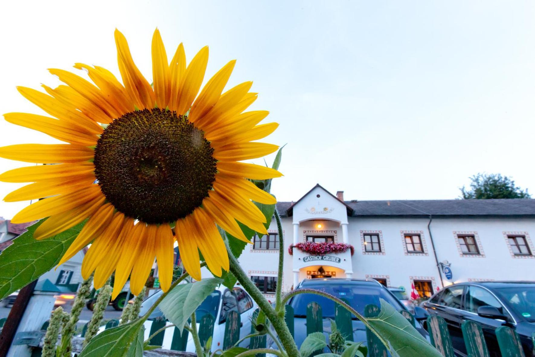 Gasthof Siegfried Gruber Hotel Hartmannsdorf Exterior photo